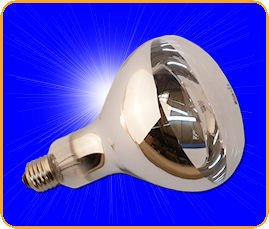300W IR PAR Heater Lamp